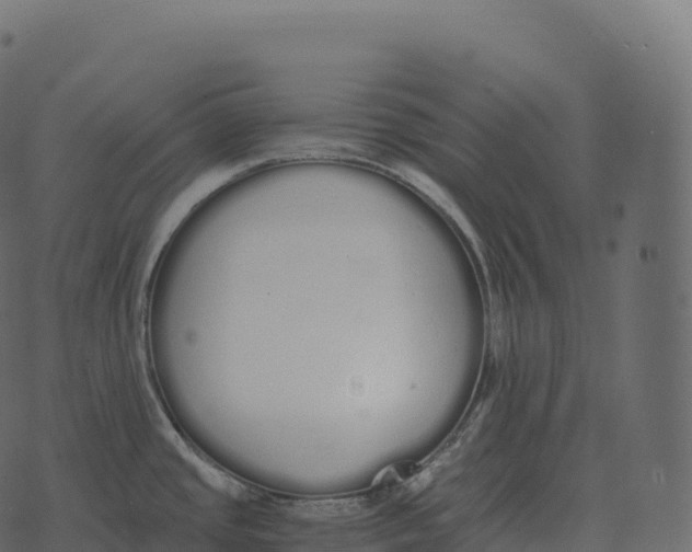 X0000073451437200608251655