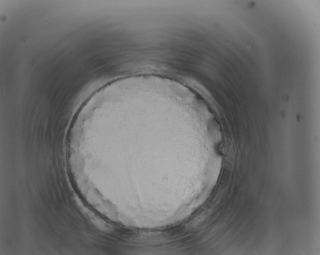 X0000073451439200608251655