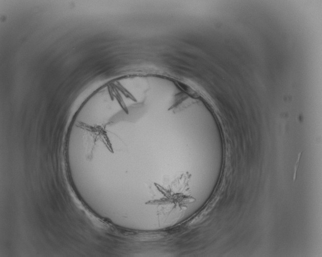 X0000073451440200608251655