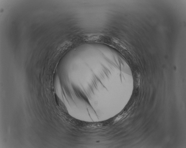 X0000073451441200608251654