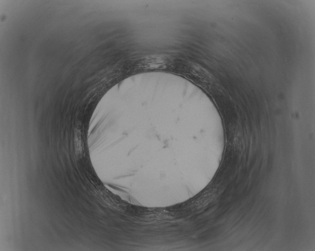 X0000073451442200608251654