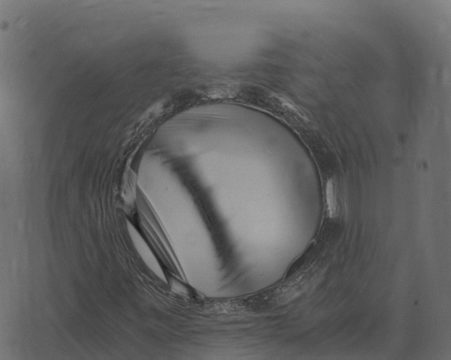 X0000073451443200608251654