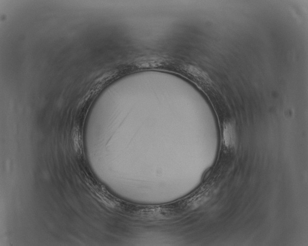 X0000073451444200608251654