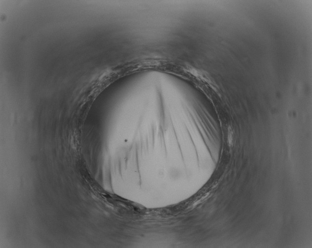 X0000073451445200608251654