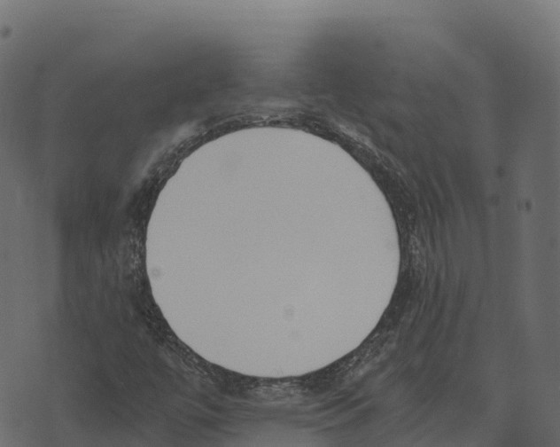 X0000073451447200608251654