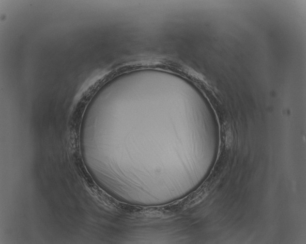 X0000073451448200608251654