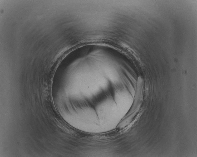 X0000073451449200608251654