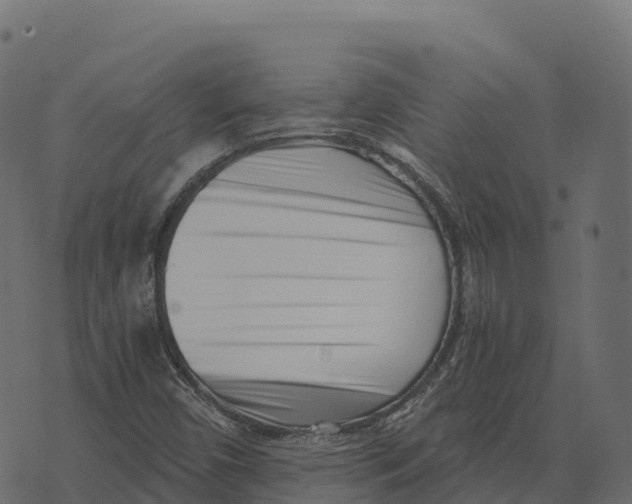 X0000073451450200608251654