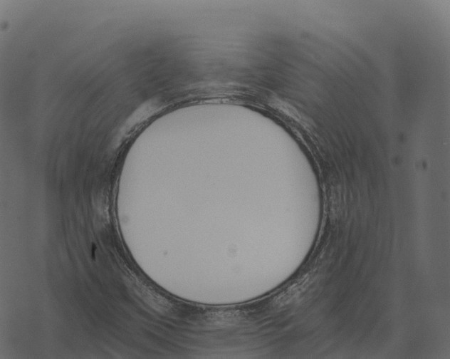 X0000073451451200608251654