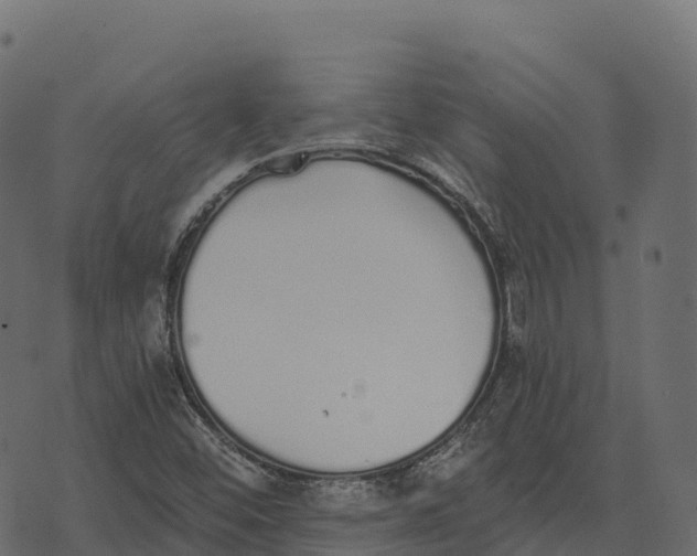 X0000073451452200608251654