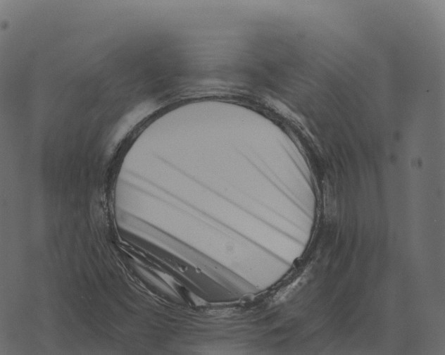 X0000073451453200608251654