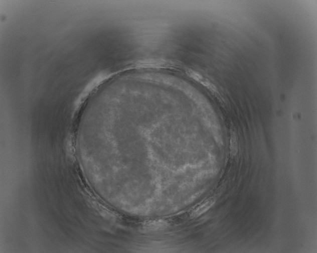 X0000073451454200608251654