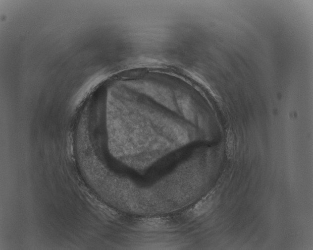 X0000073451455200608251654