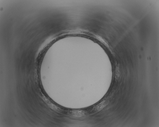 X0000073451456200608251654