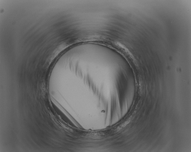 X0000073451457200608251654