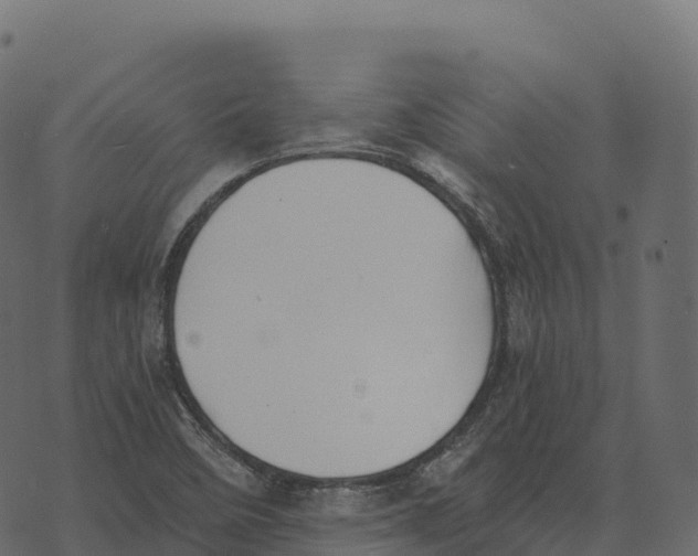 X0000073451458200608251654