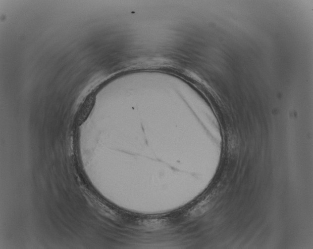 X0000073451459200608251654