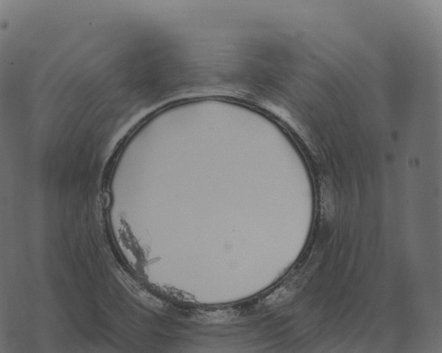 X0000073451460200608251653