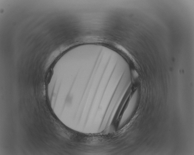 X0000073451461200608251653