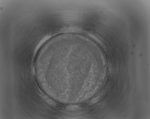 X0000073451462200608251653