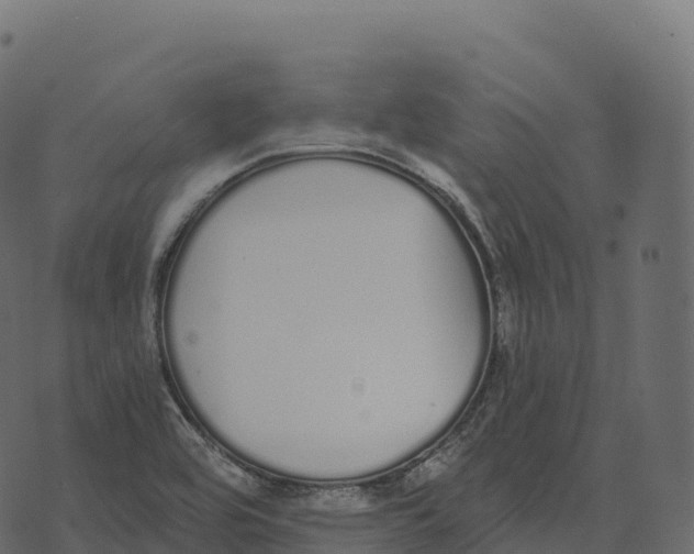 X0000073451464200608251653