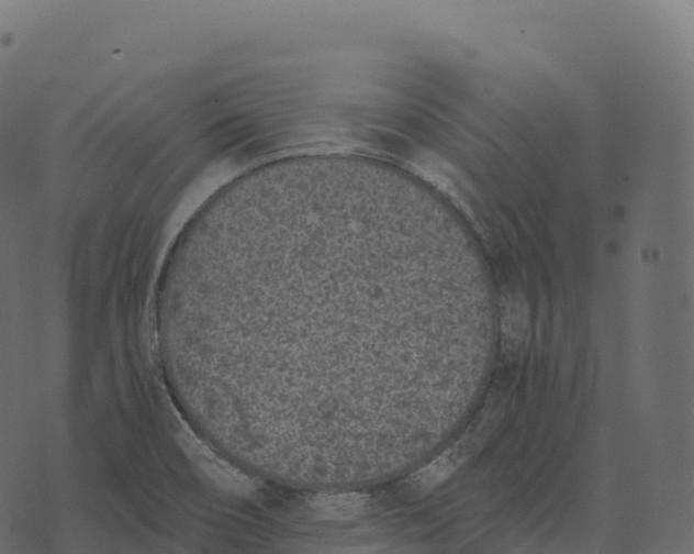 X0000073451466200608251653