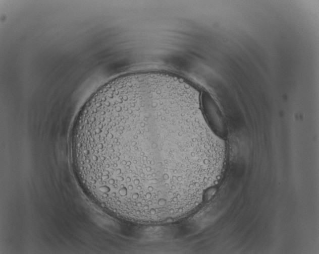 X0000073451467200608251653