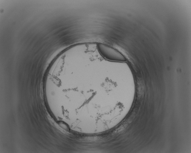 X0000073451468200608251653