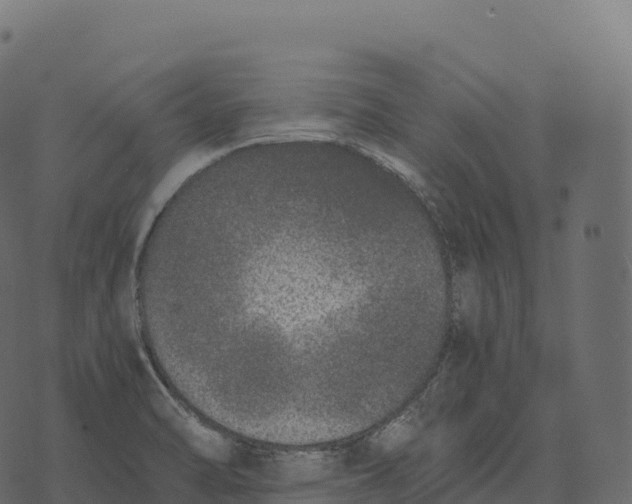 X0000073451470200608251653