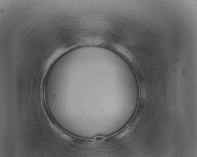 X0000073451471200608251653