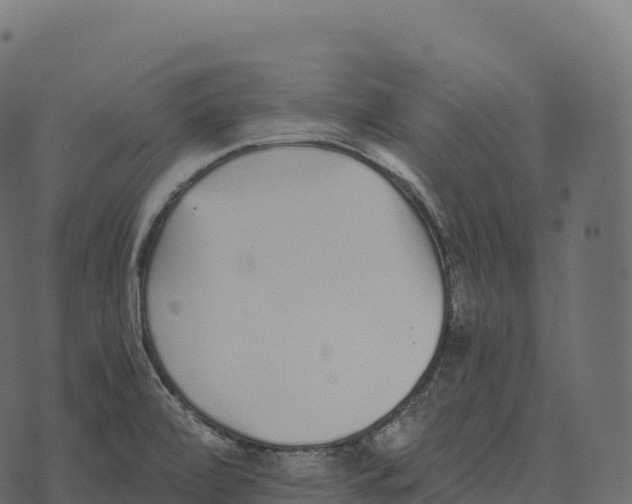 X0000073451472200608251653