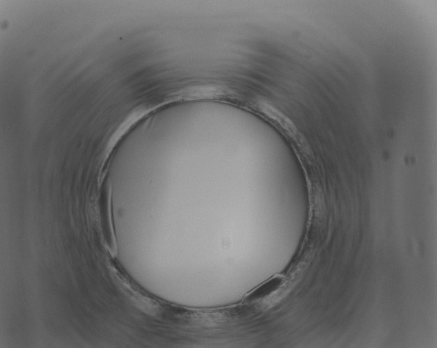 X0000073451473200608251653