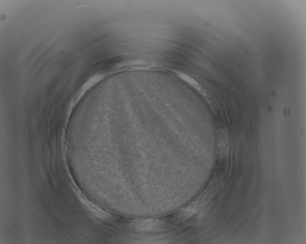 X0000073451474200608251653