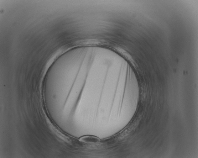 X0000073451475200608251653