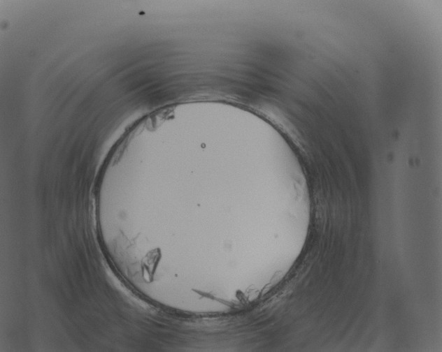 X0000073451476200608251653