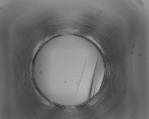 X0000073451477200608251653