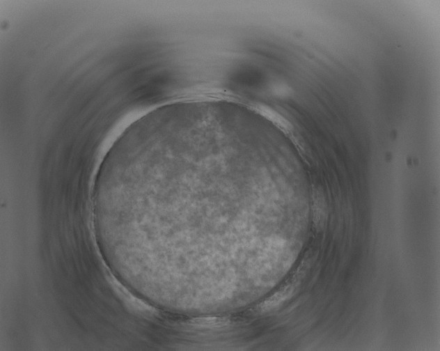 X0000073451478200608251653