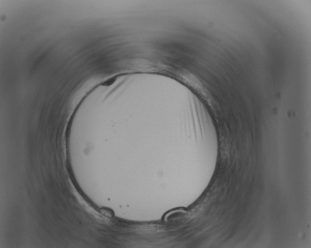 X0000073451479200608251653