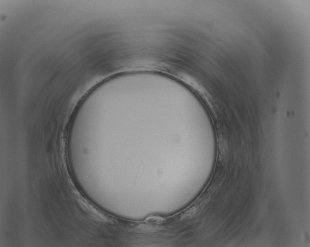 X0000073451480200608251653