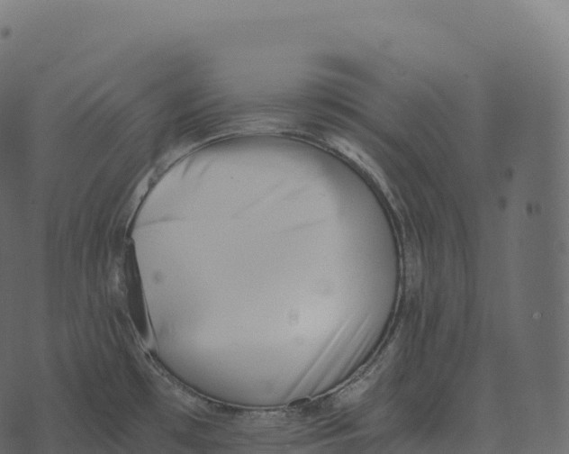 X0000073451481200608251653