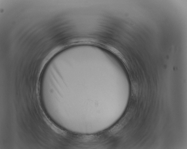 X0000073451482200608251653