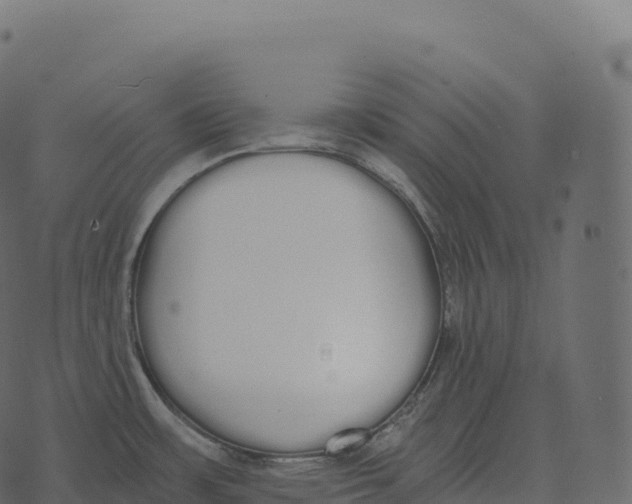 X0000073451483200608251653