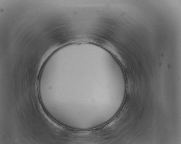 X0000073451484200608251653