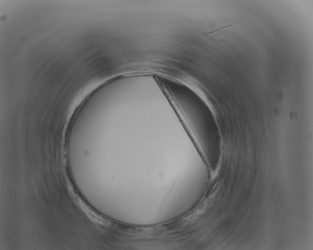 X0000073451485200608251653