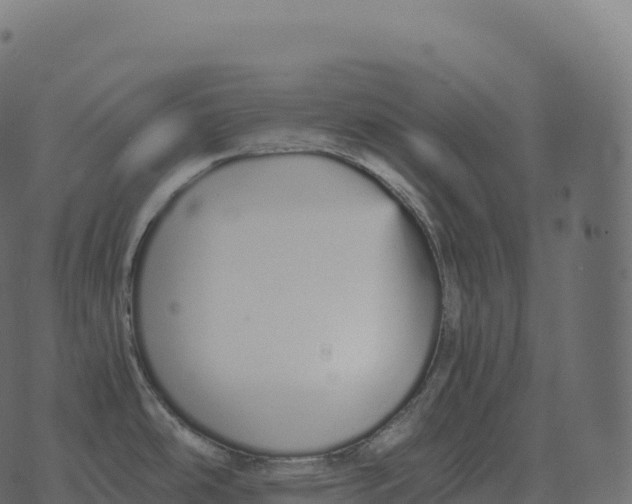 X0000073451486200608251653