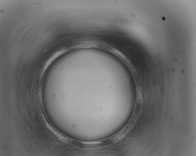 X0000073451487200608251653