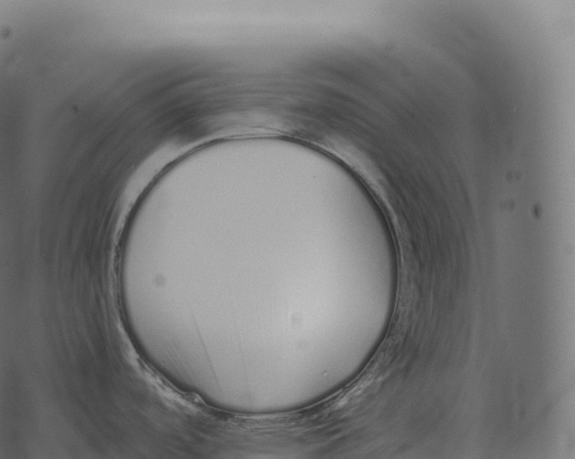 X0000073451488200608251653