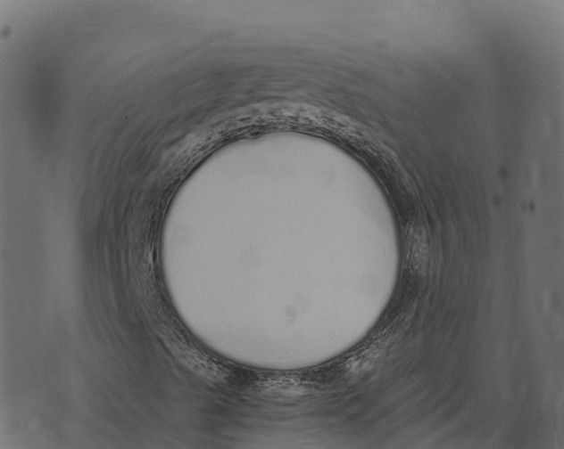 X0000073451489200608251652