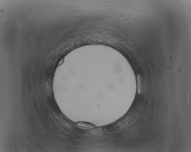 X0000073451491200608251652