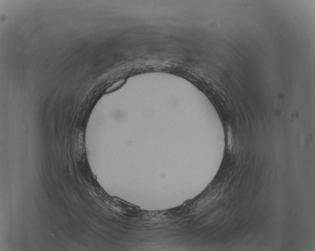 X0000073451492200608251652